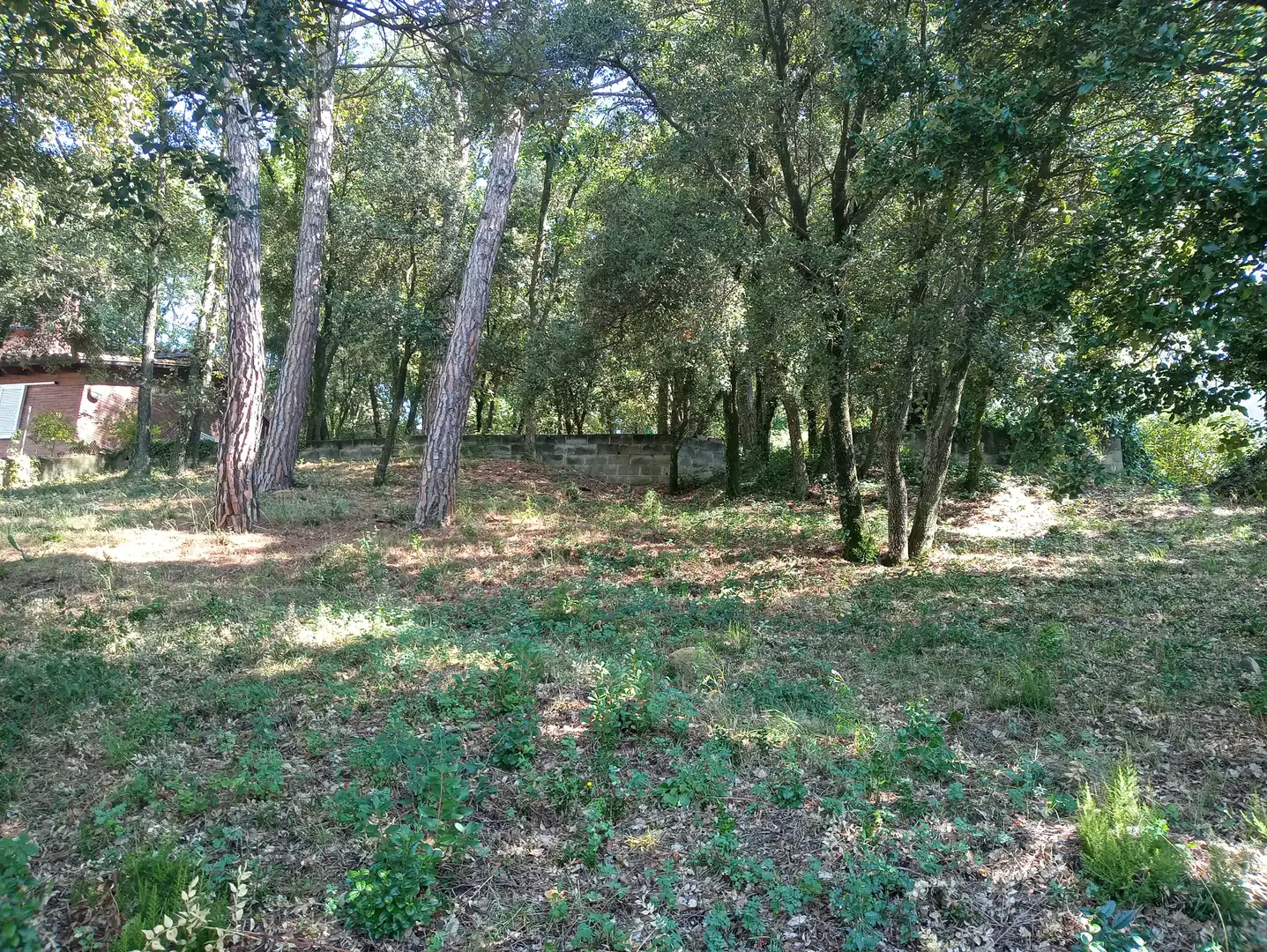 Terreno residencial en venta en Carrer de la Morera, imagen 17