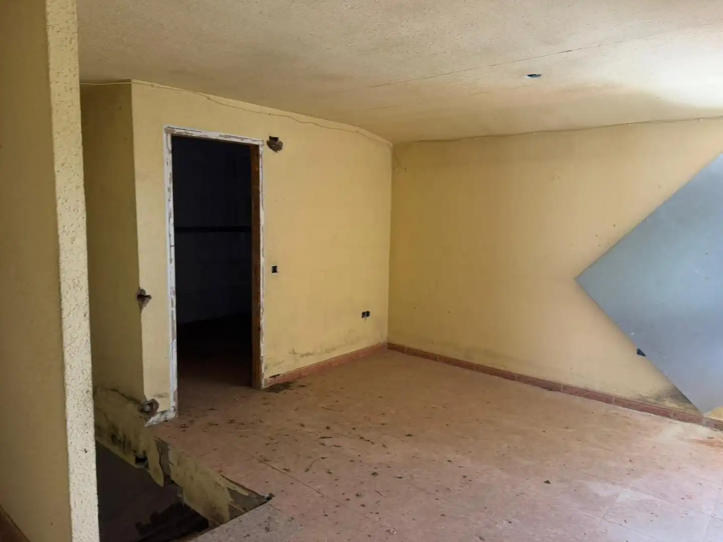 Detached homes for sale in Almendral
