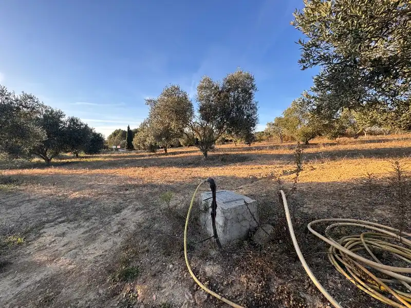 Terreno rustico in vendita a Barri Castell d'Empordà