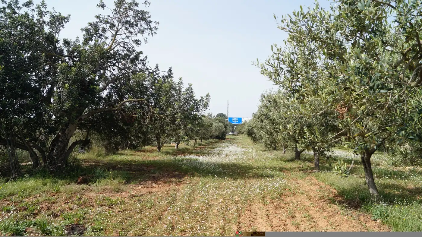 Terreno en venta en Torredembarra