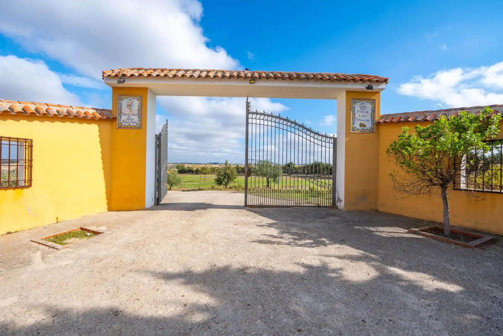 Grundstücke zum Verkauf in Olivares, Batres