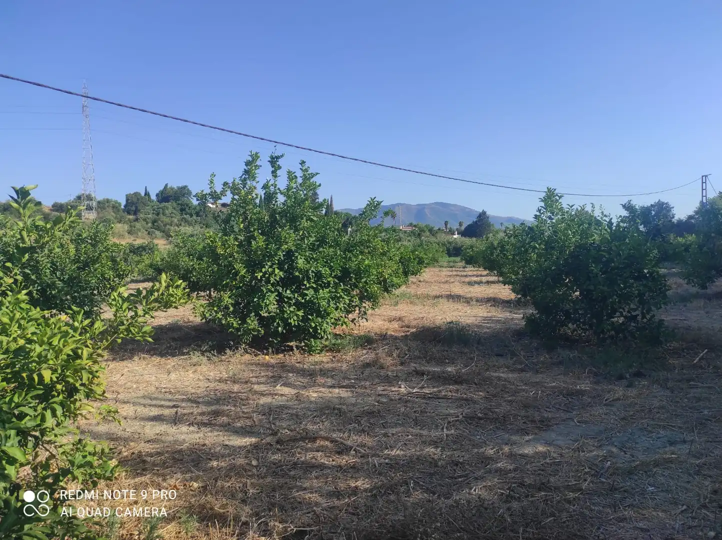 Terreno rustico in vendita a Villafranco del Guadalhorce, imagen 5