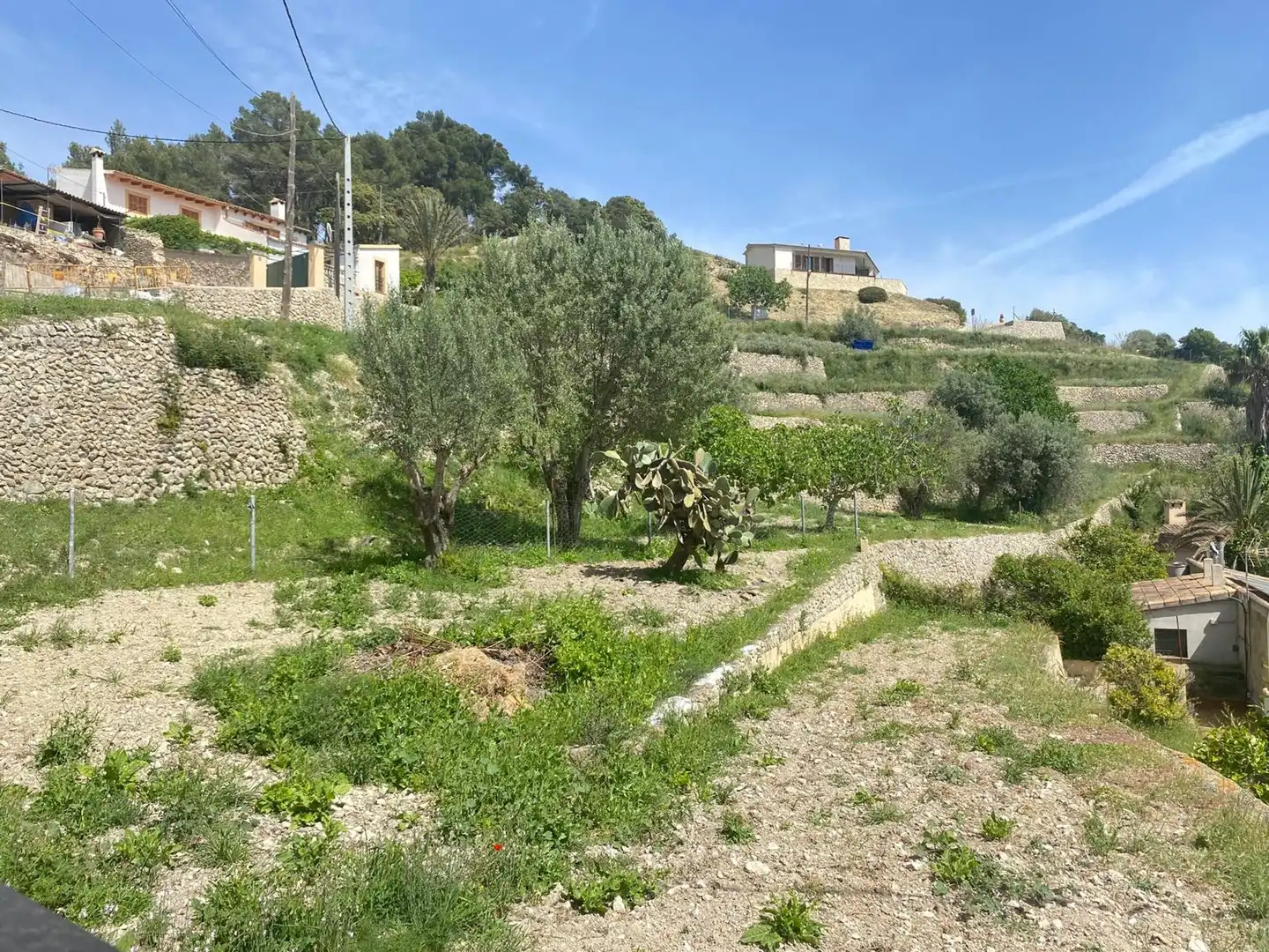 Wohnbaugrundstück zum Verkauf in Puigpunyent, imagen 15