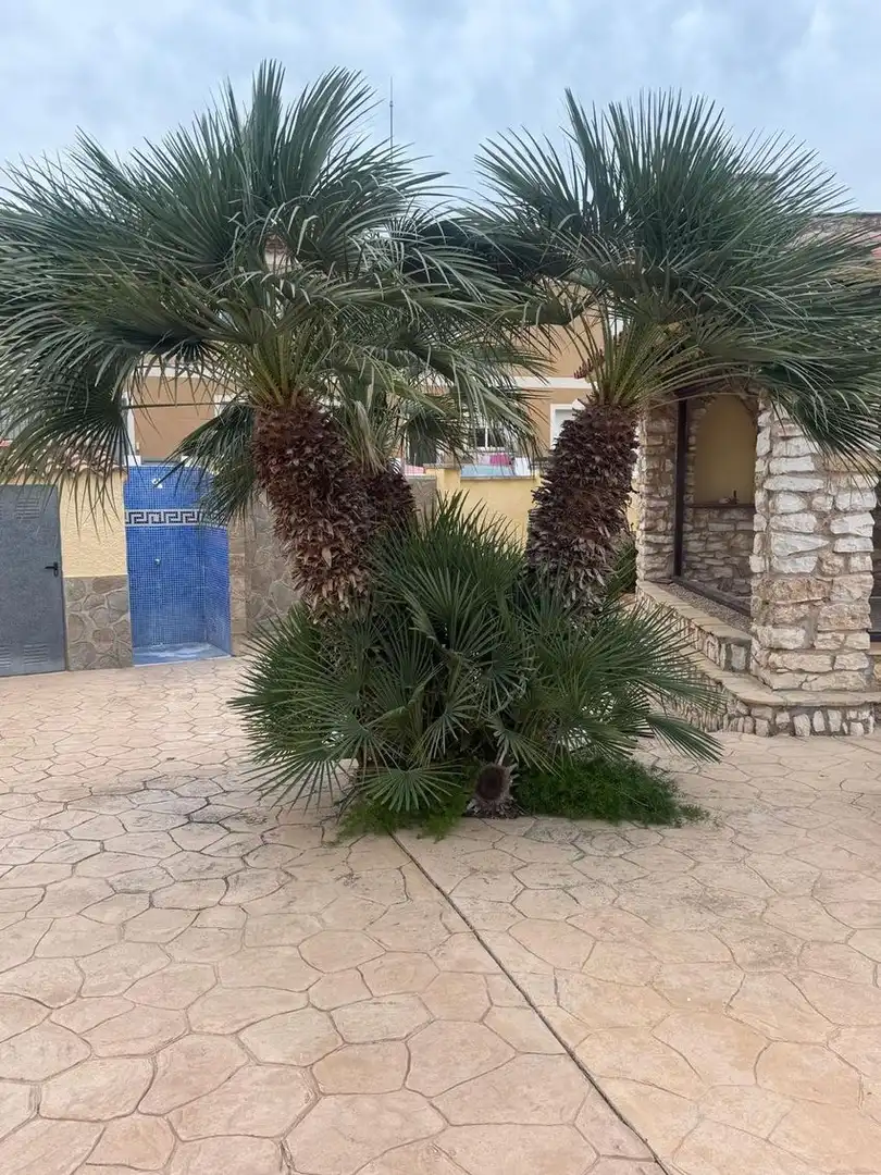 House with pool for sale in Miami Platja, imagen 5