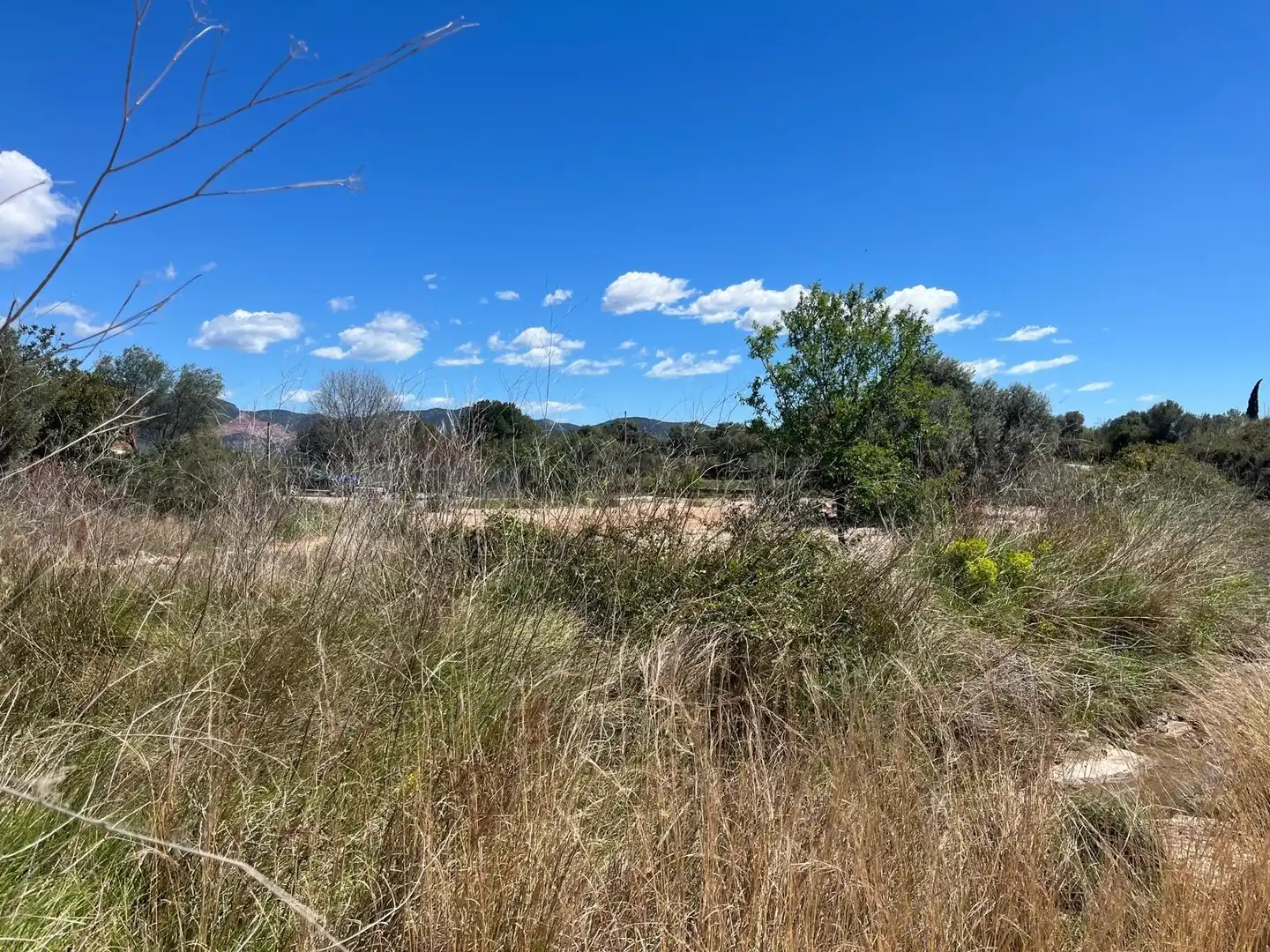 Terreno residencial en venta en Polígono POLIGONO 11, imagen 5
