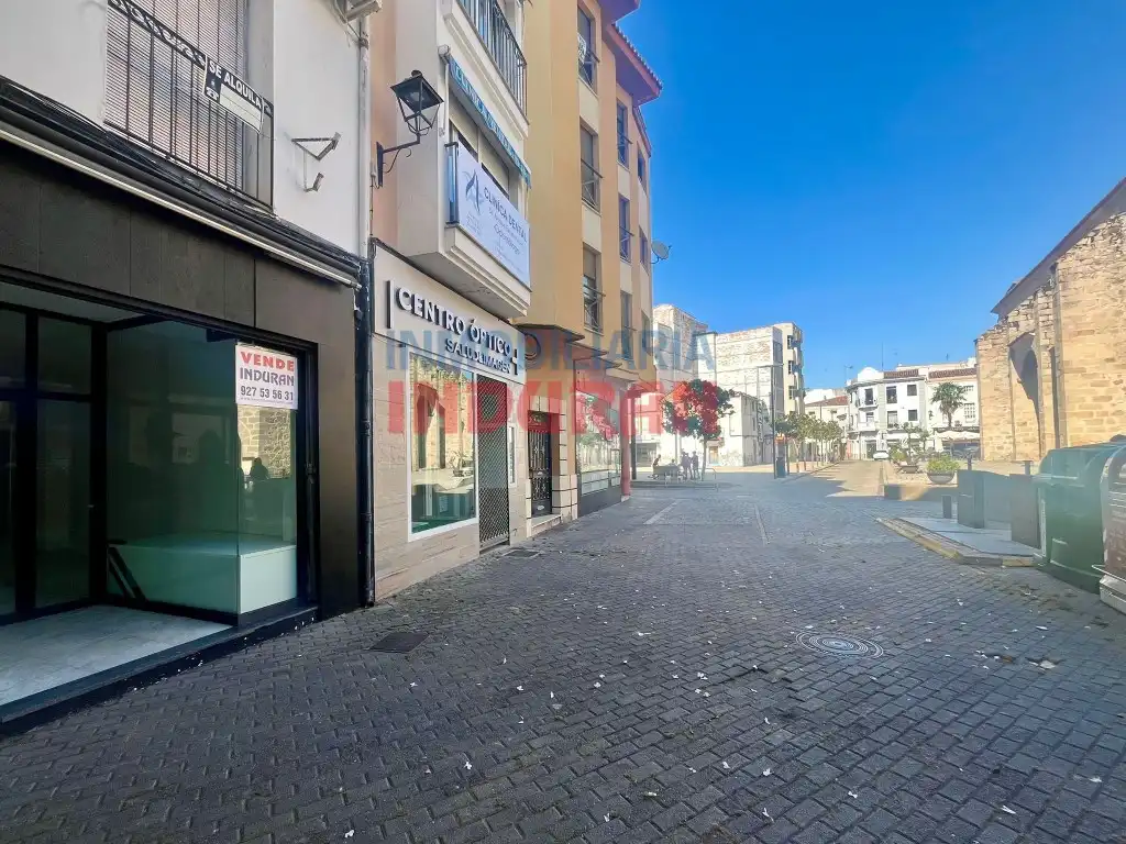 Local commercial à vendre à Plaza España