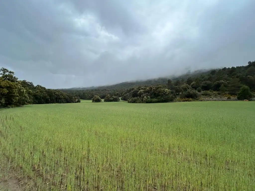 Finca rústica en venda en El Toro