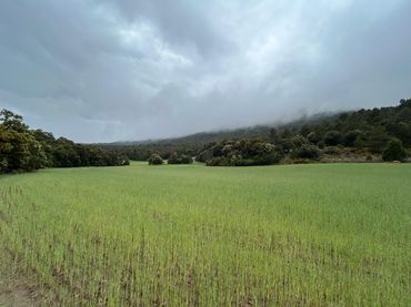 Country house for sale in Partida Alcotillas