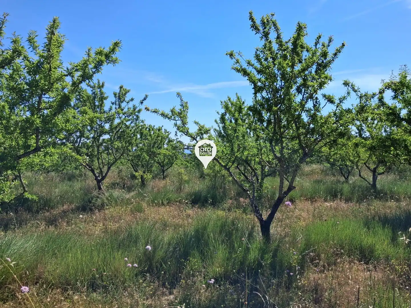 Land for sale in Madrid