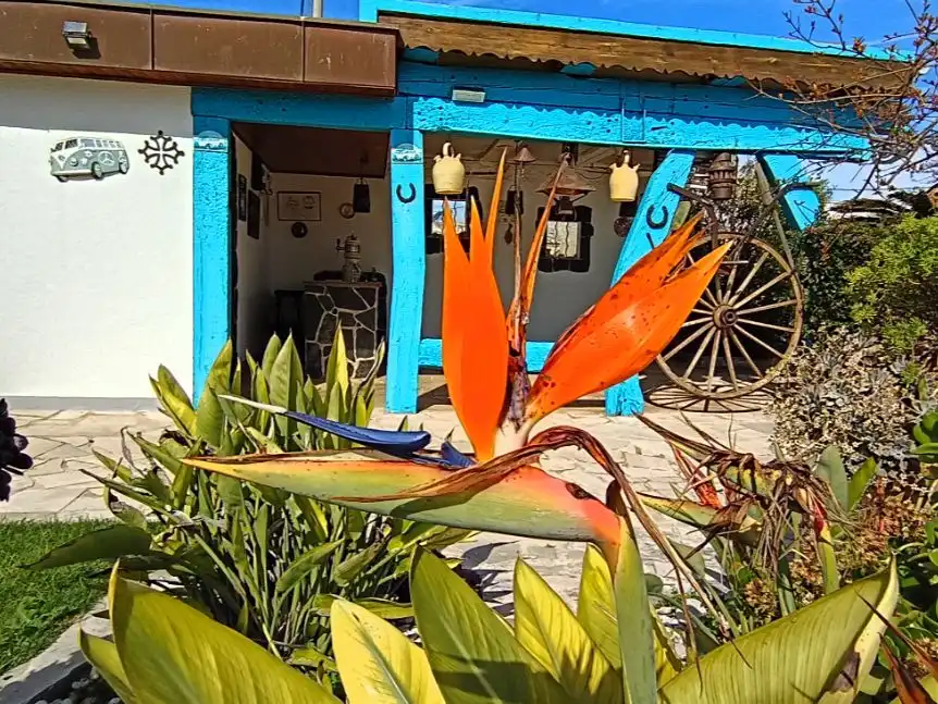 Casa o chalet en venta en Costa Norte