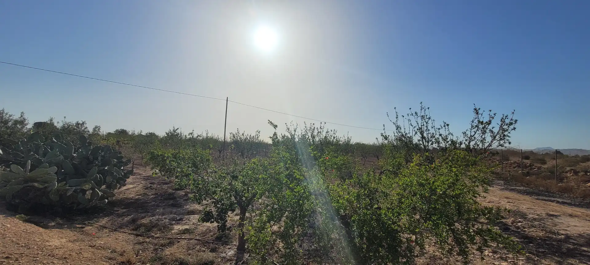 Country homes for sale in Murcia  with Heating, Private garden and Terrace
