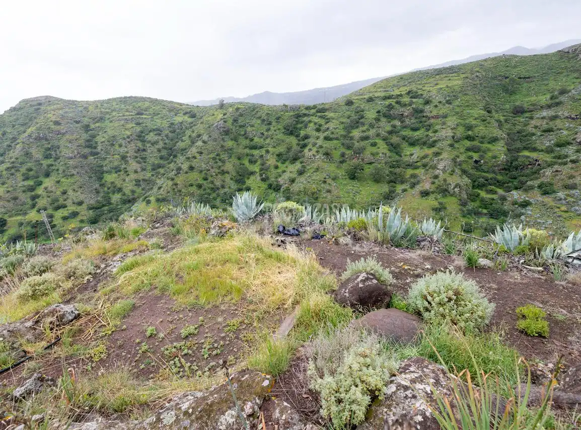 Maison rustique à vendre à Caserones - La Higuera, imagen 22