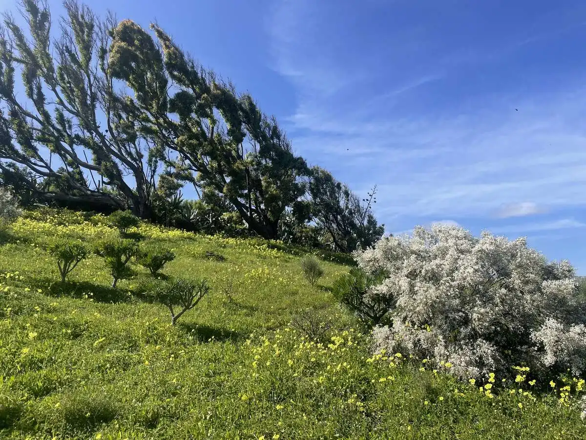 Rural land for sale in Caserones - La Higuera, imagen 2