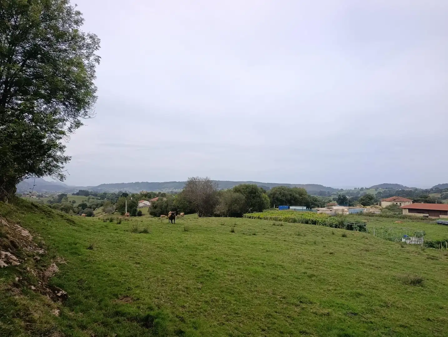 Rustikales Grundstück zum Verkauf in Carretera Piñera (Noriega) 0, imagen 2