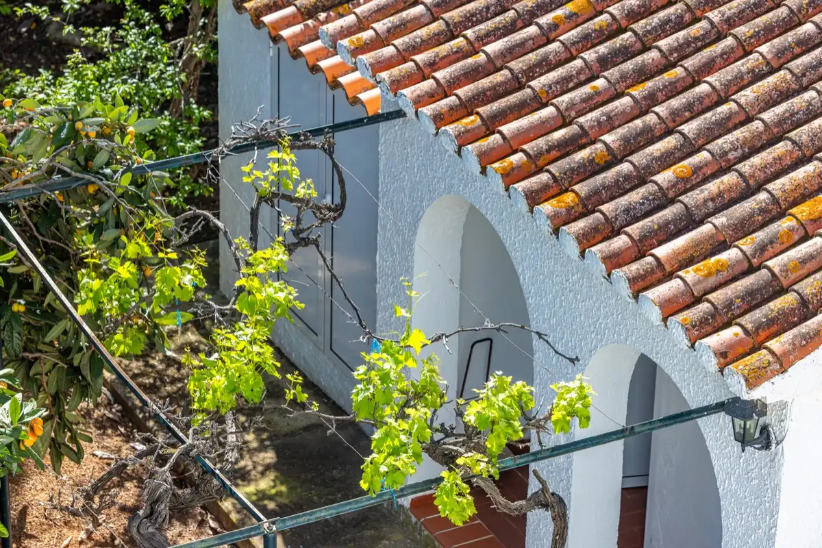 Detached house with garden for sale in Las Rotas / Les Rotes, imagen 59