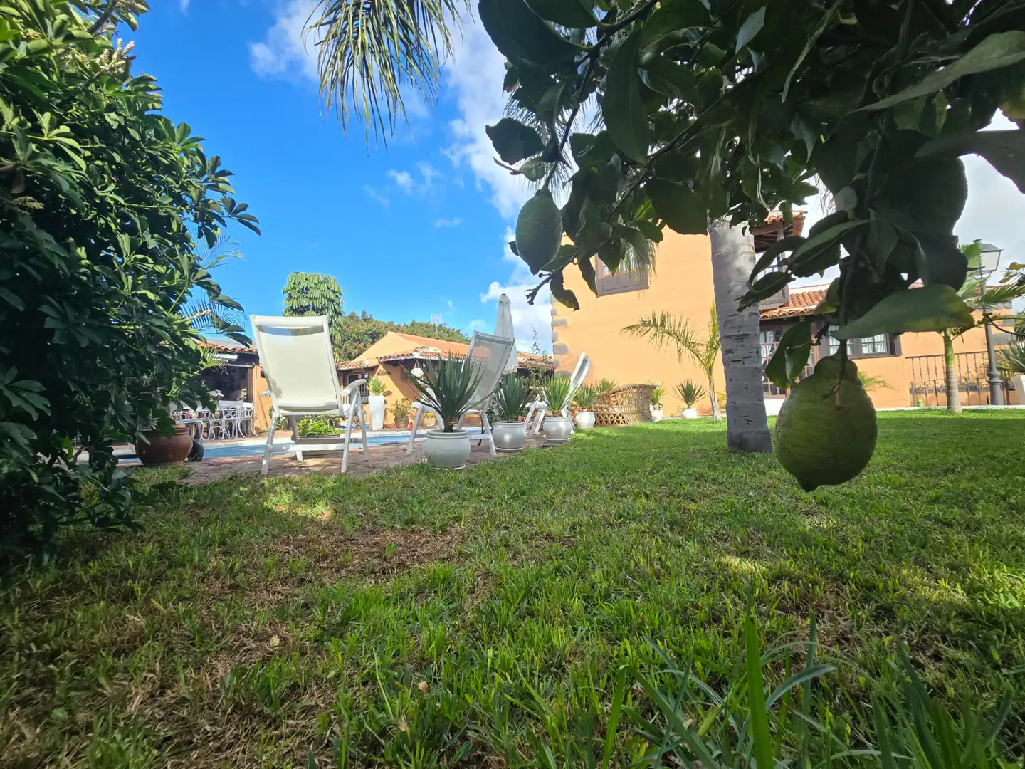 Jardí de Casa o xalet en venda en Arona amb Aire condicionat, Jardí privat i Parquet