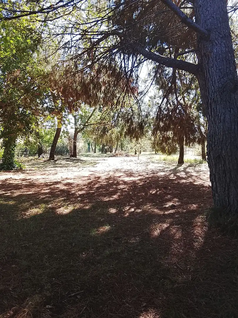 Haus mit Garten zum Verkauf in Madrigal de la Vera, imagen 125