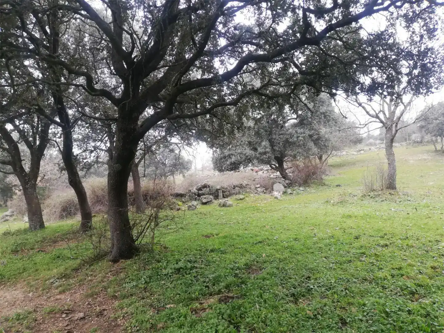 Terreno en venta en Bustarviejo