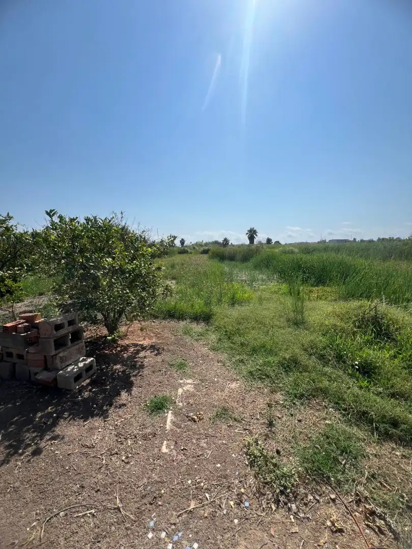 Finca rústica en venda en Castellón de la Plana / Castelló de la Plana amb Terrassa i Piscina