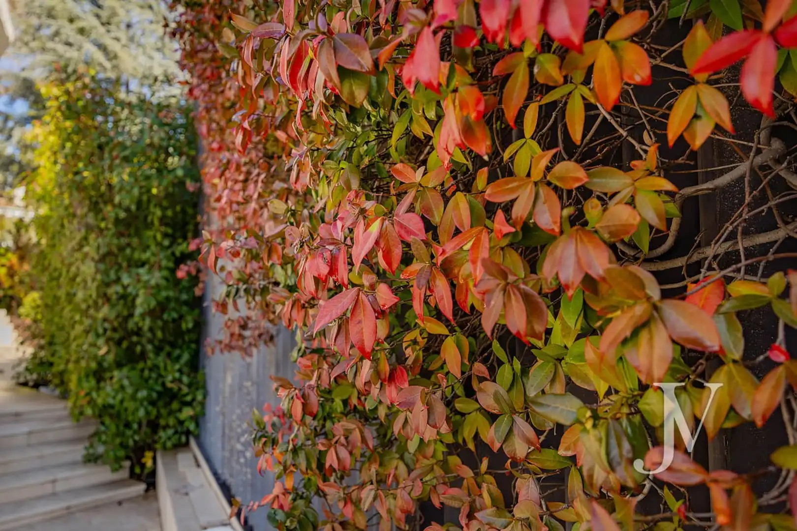Jardín de Casa o chalet en venta en Madrid con Aire acondicionado, Calefacción y Jardín privado
