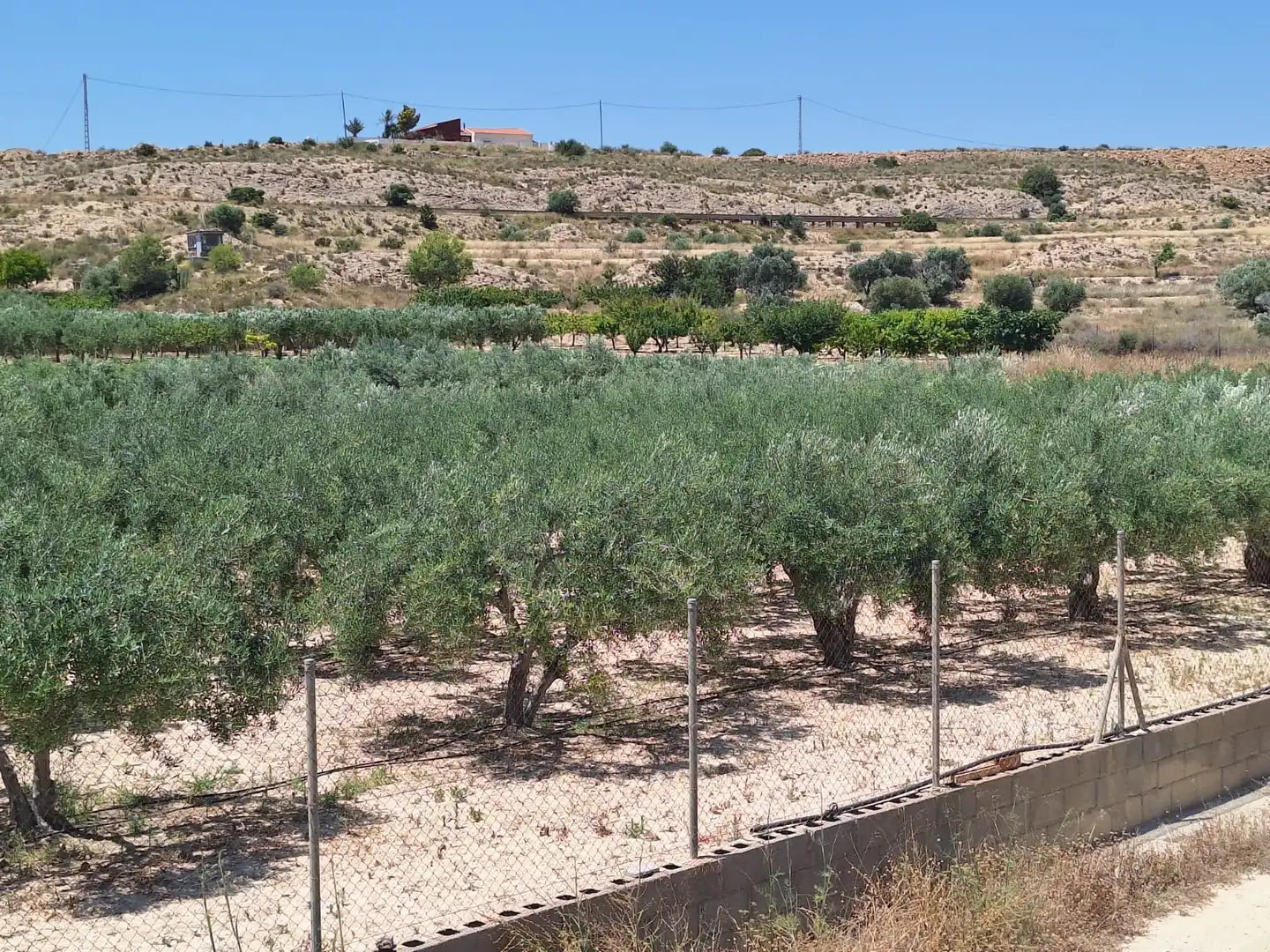 Casa o xalet en venda en Alicante / Alacant amb Jardí privat, Terrassa i Traster