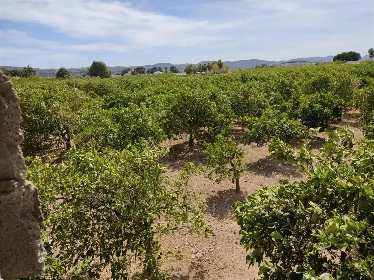 Country house zum Verkauf in Orihuela