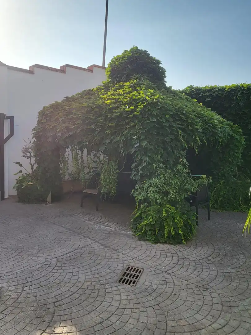 Terraza de Casa o chalet en venta en El Palomar con Aire acondicionado, Jardín privado y Terraza