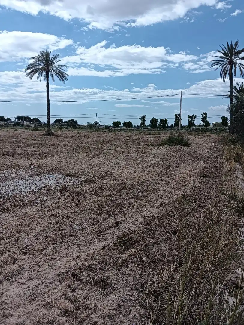Terreno en venta en Elche / Elx