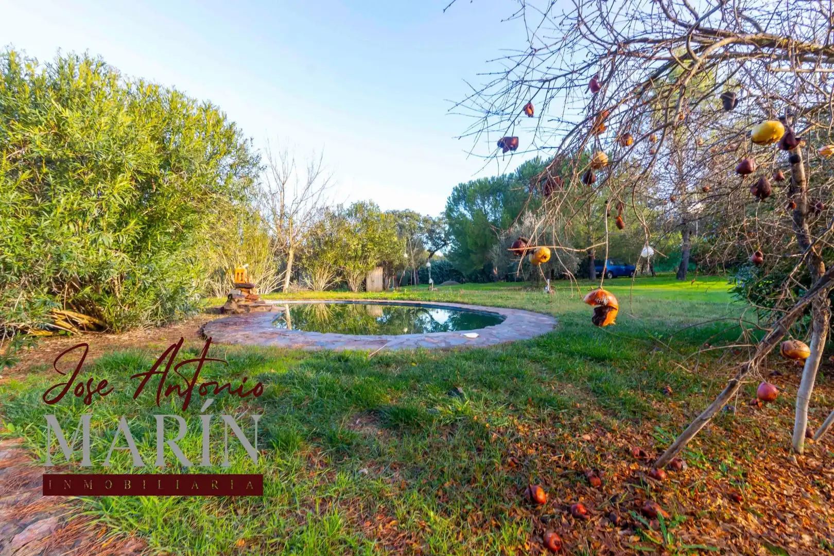 Garten von Country house zum Verkauf in Badajoz mit Privatgarten, Abstellraum und Schwimmbad