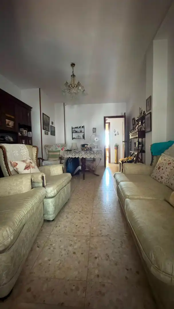 Sala d'estar de Àtic en venda en San Fernando amb Terrassa i Traster