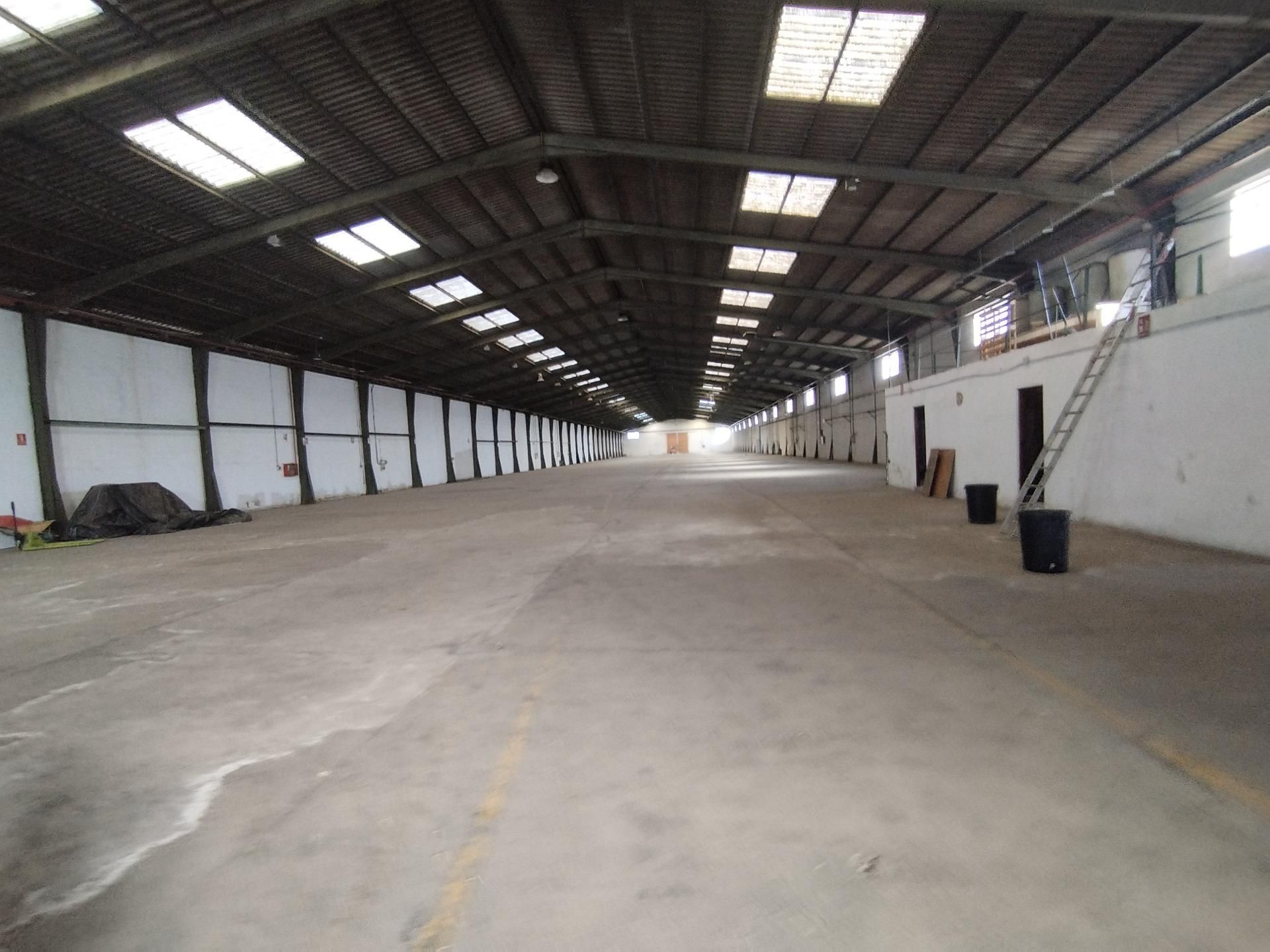 Industrial buildings to rent in Carlet