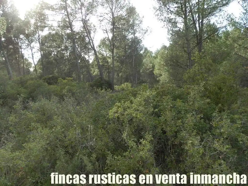 Rural land for sale in Requena, imagen 9