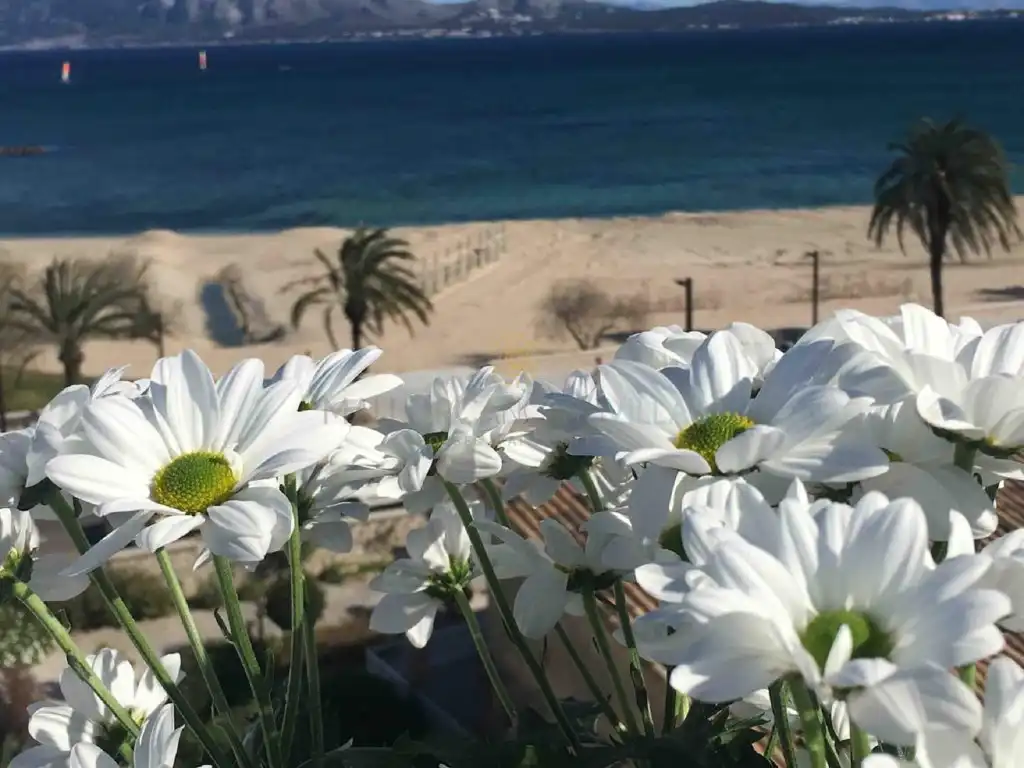 Mini appartamento in vendita a Port de Pollença, imagen 23
