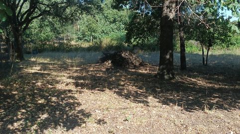 Terreny en venda en SELVA BRAVA, immagine 2