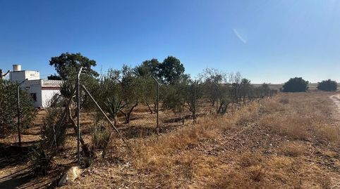 Photo 4 of Country homes for sale in Carmona, Sevilla