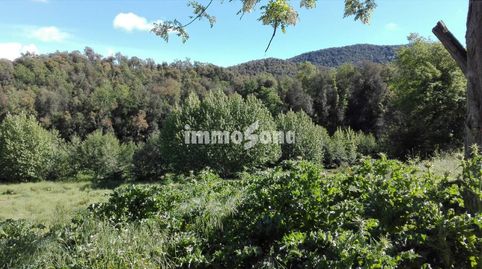 Finca rustica 330 hectareas, imatge 2