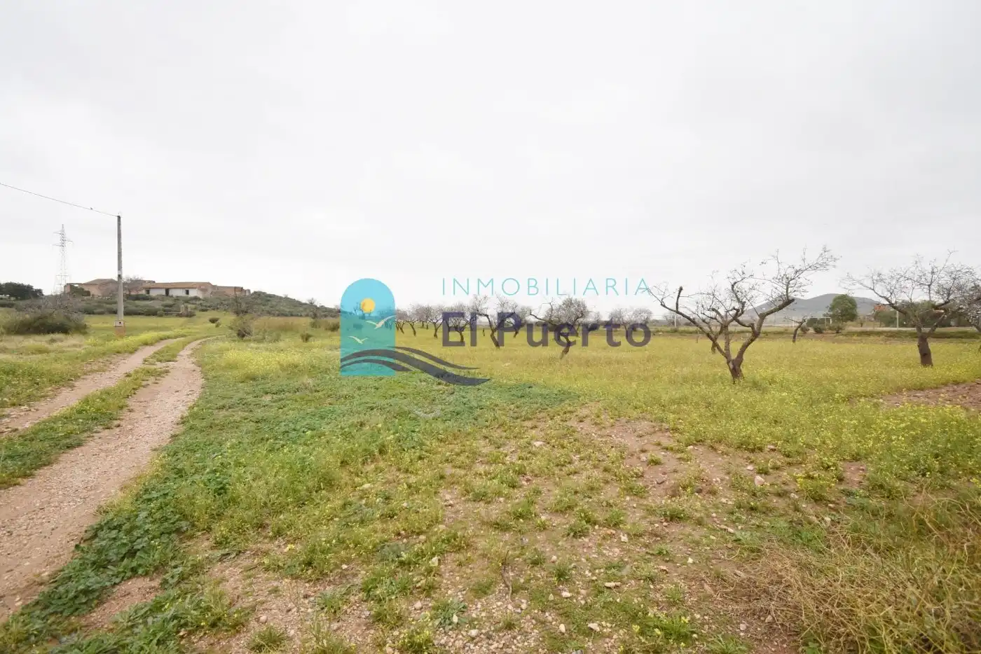 Rural land for sale in Pedanías Oeste, imagen 15
