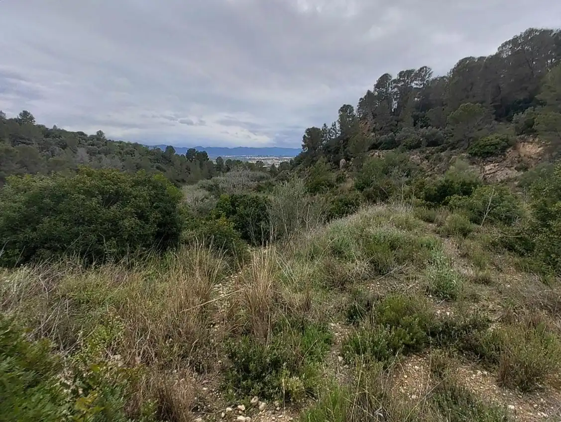 Terreno residencial en venta en Cantalars, Pol.9, Parc. 123(A,B,C Y D) Y Parcela 233. Barranco De Montell, imagen 5