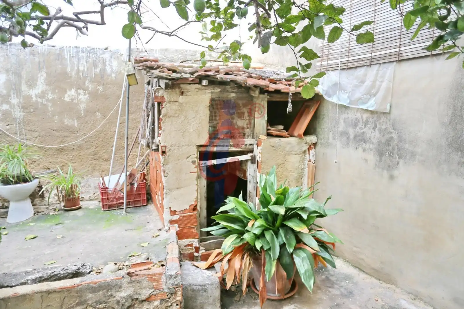 Vista exterior de Casa o chalet en venta en Guardamar del Segura con Jardín privado