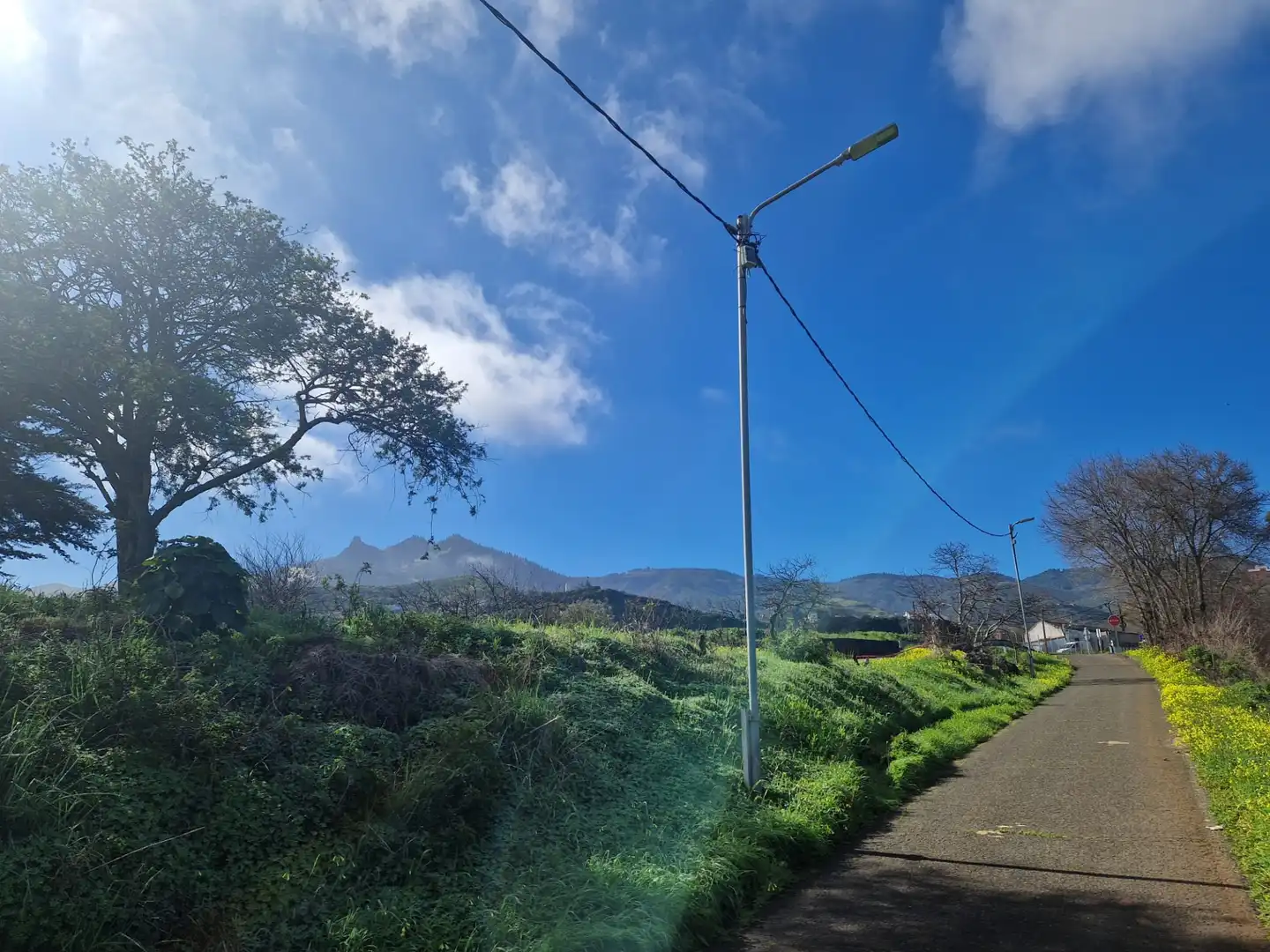 Vista exterior de Casa o chalet en venta en Vega de San Mateo con Jardín privado, Terraza y Internet
