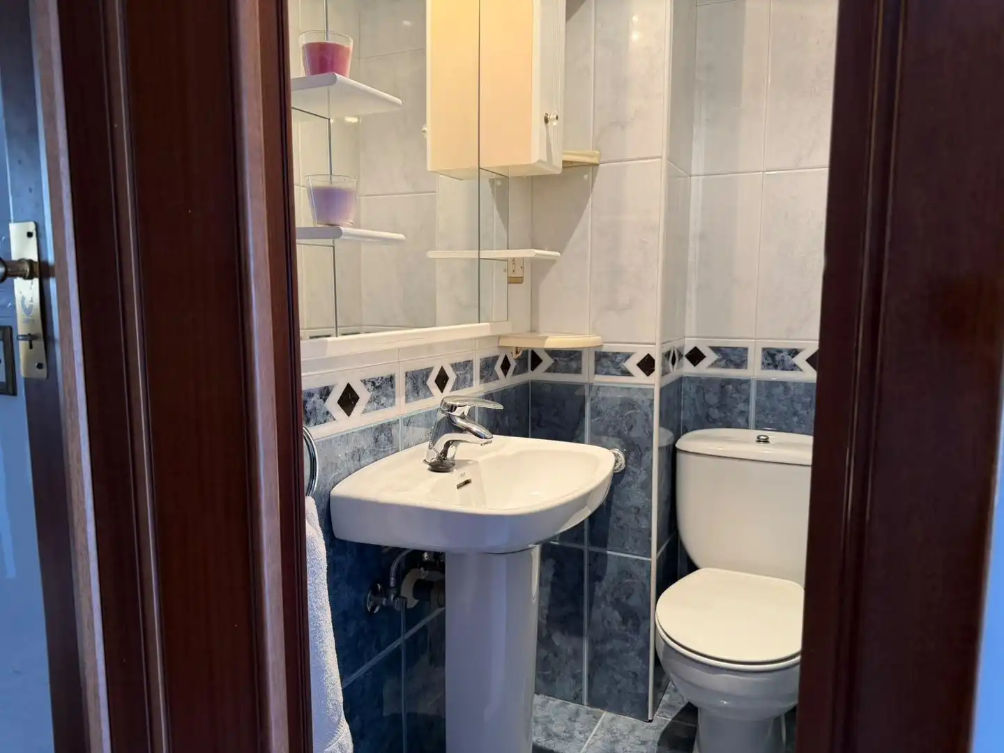 Appartamento con terrazza in vendita a Kalero - Basozelai, imagen 36