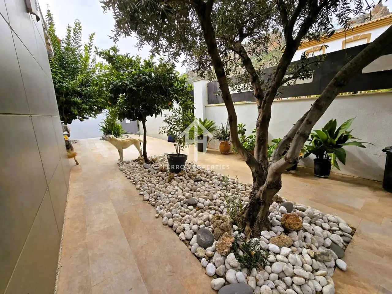 Villa mit Pool zum Verkauf in Calle Alcalde Don Manuel Martín 11, imagen 2