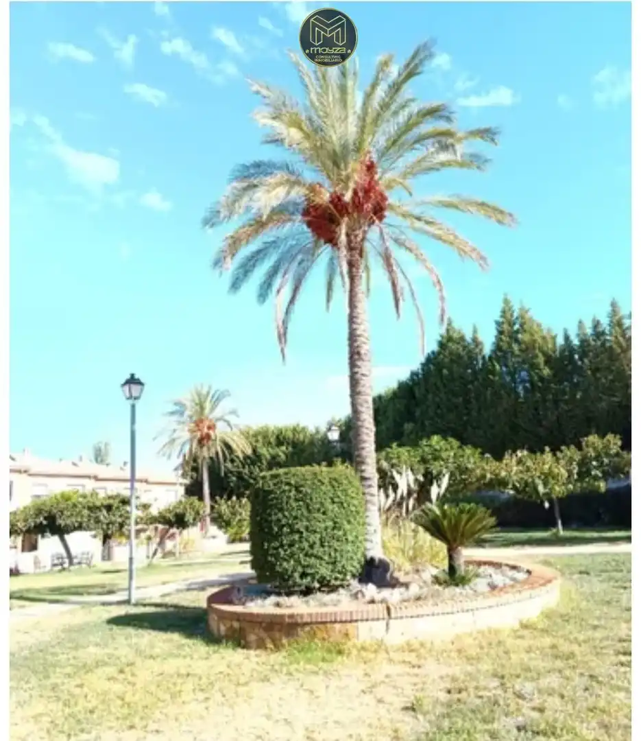 House with pool for sale in La Guardia de Jaén, imagen 5