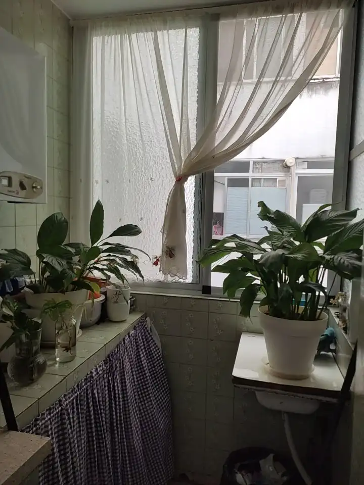 Piso con terraza en venta en Parque de la Constitución 5a, imagen 17