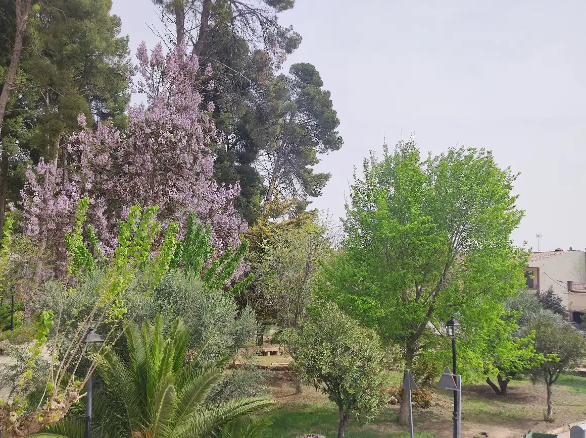 Garten von Wohnung zum Verkauf in Albatana mit Klimaanlage, Terrasse und Möbliert