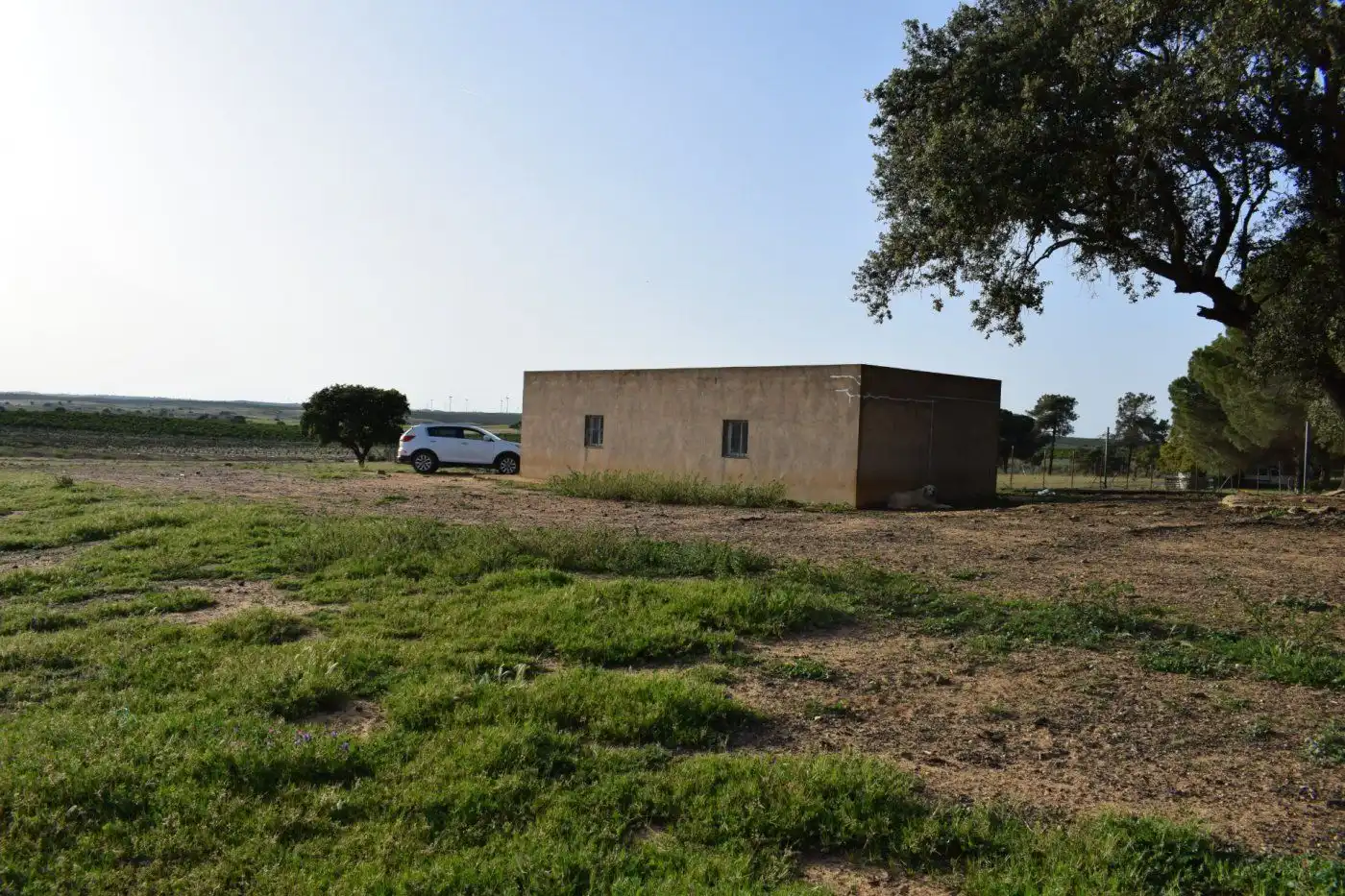 Country homes for sale in Villablanca  with Storage room