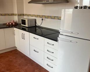 Cuina de Apartament de lloguer en Almendralejo amb Parquet, Moblat i Rentadora
