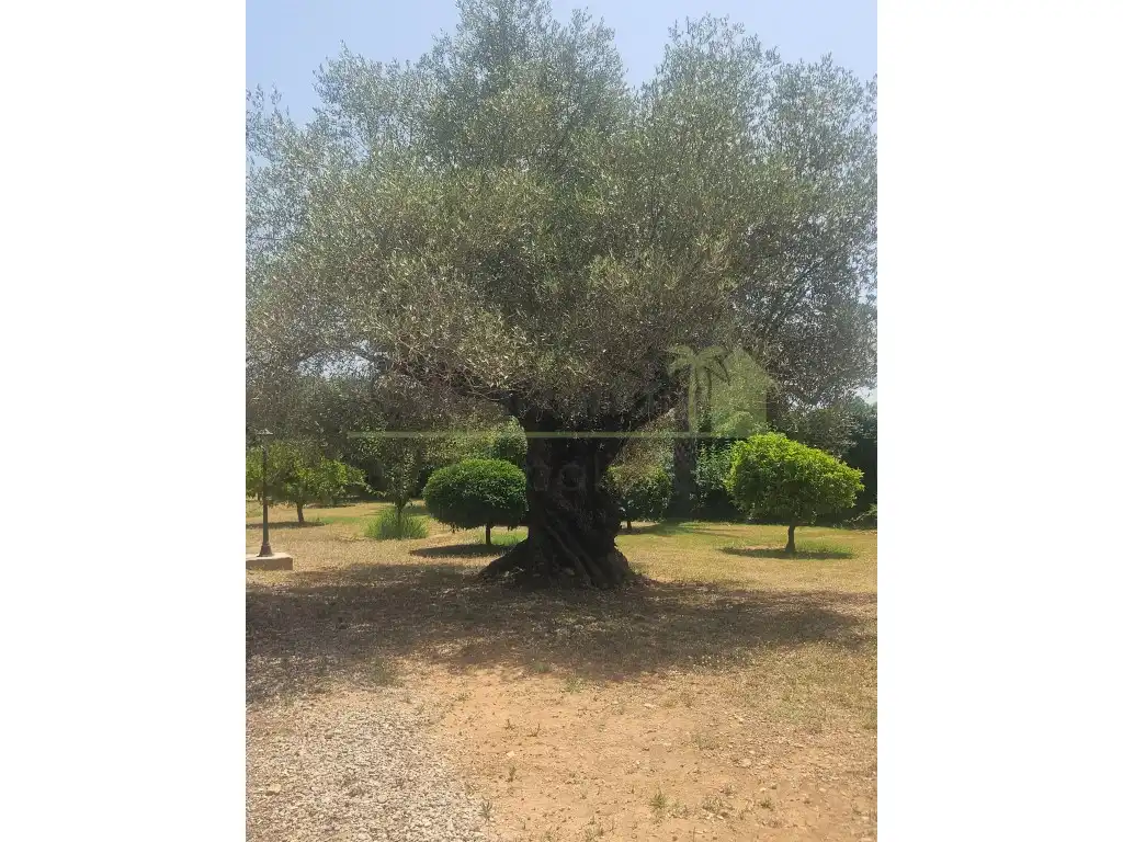 Casa con piscina in vendita a Càlig, imagen 37