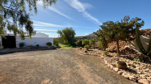Foto 3 de Finca rústica en venta en Miguel Betancor García, Tuineje pueblo, Tuineje
