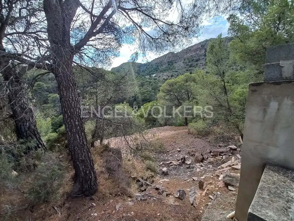Lands and plots for sale in Serra, imagen 11